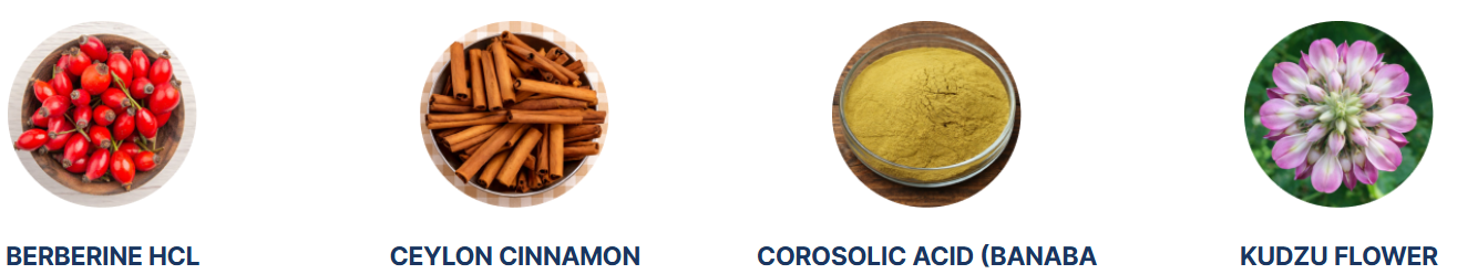 MemoVolt Ingredients 2