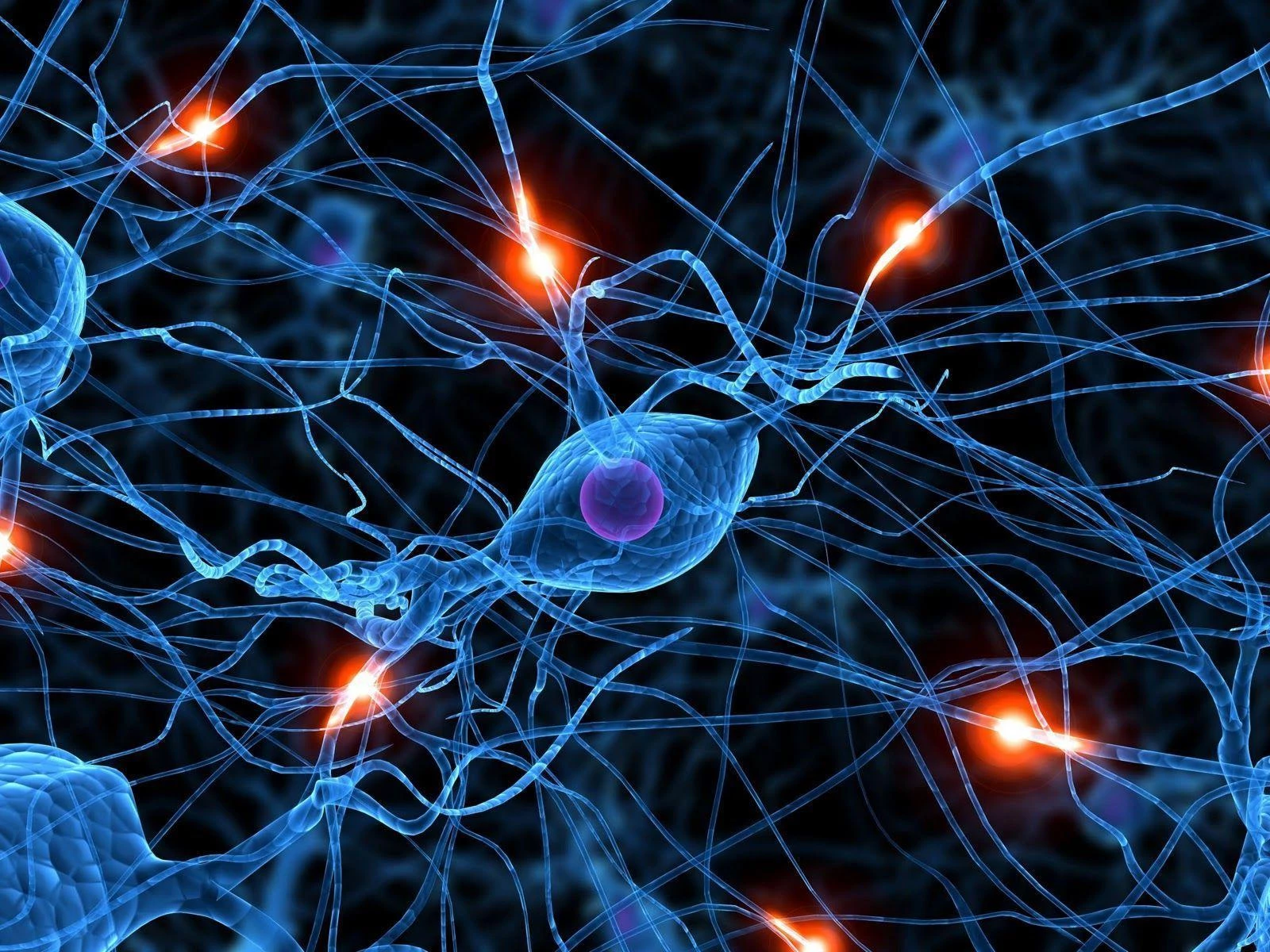 NerveCell Benefits