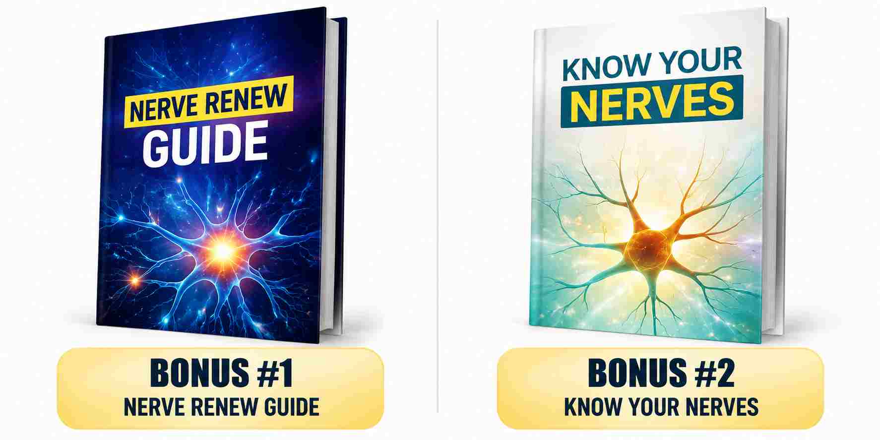 NerveCell Bonuses