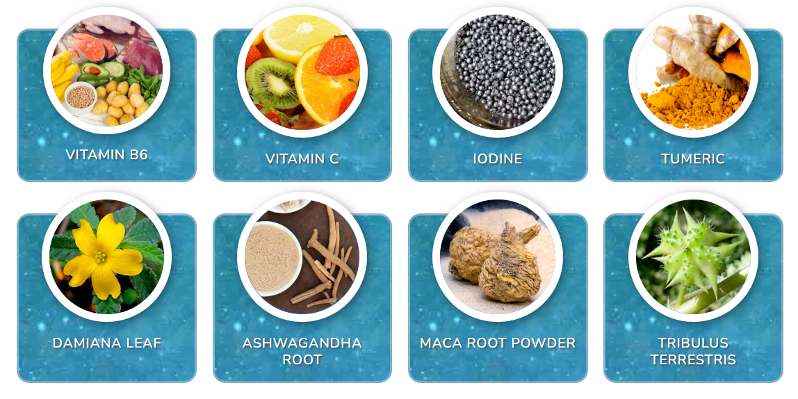 Pineal 10X Ingredients